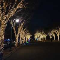 울산대공원 겨울 빛축제🎄❣️