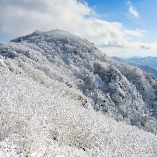 덕유산 눈꽃여행 꿀팁으로 제대로 즐겨요.
