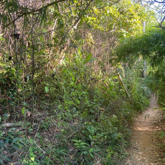 ผาหินดำ ⛰️