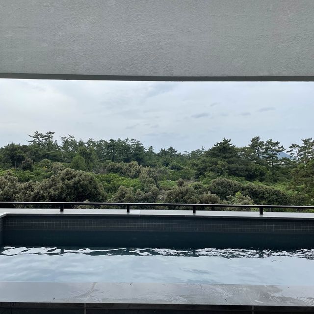 제주도에서 즐기는 귤밭뷰 감성숙소 귤한가!