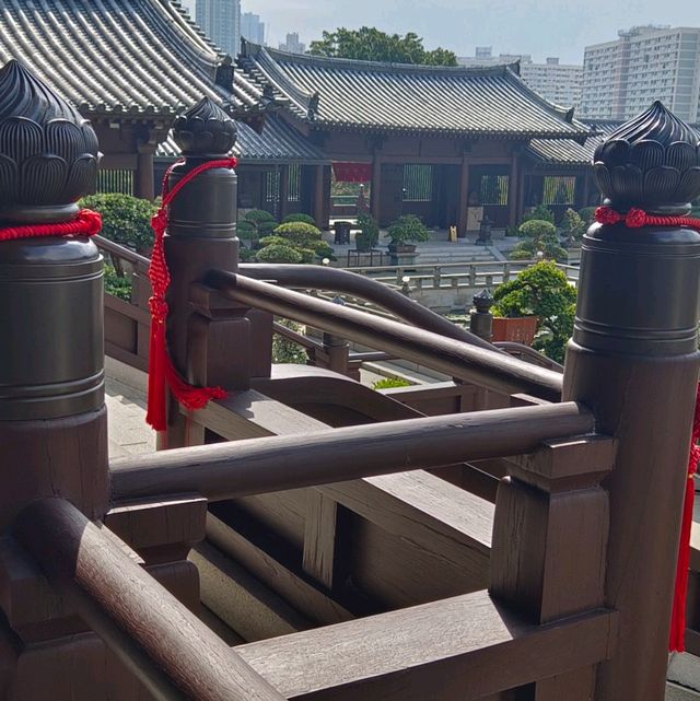 珍石展覽！大雄殿，觀音殿，藥師佛殿環立！氣象千字萬宙！