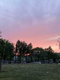 사람 없는 한적한 광나루 한강공원 💚