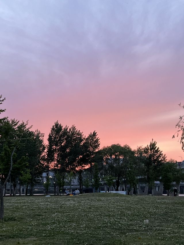 사람 없는 한적한 광나루 한강공원 💚