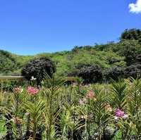 Paradise in our midst