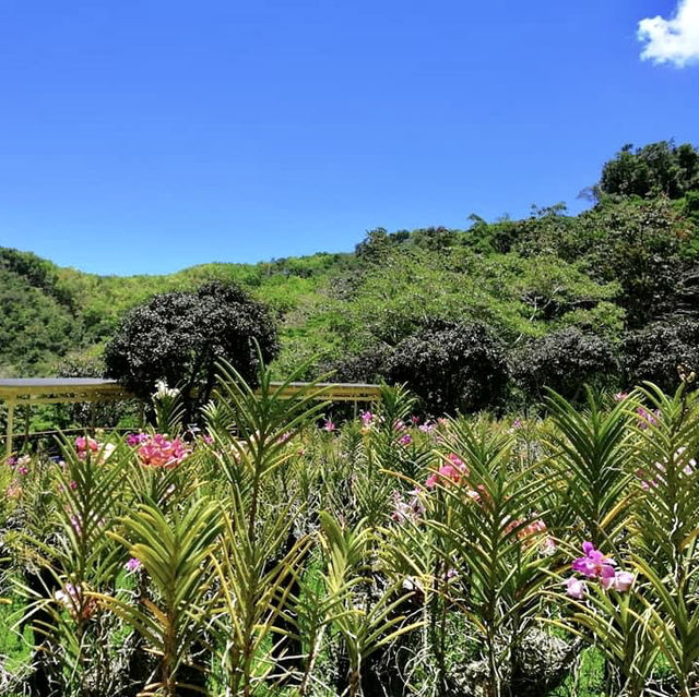 Paradise in our midst