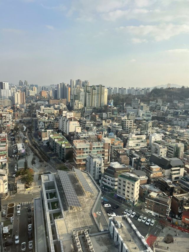 젊음의 거리 홍대 놀거리/여행 일정♥️