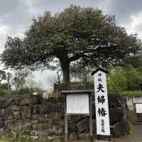 【島根県/八重垣神社と鏡の池】