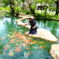 Rabbit Hole At Phuket 