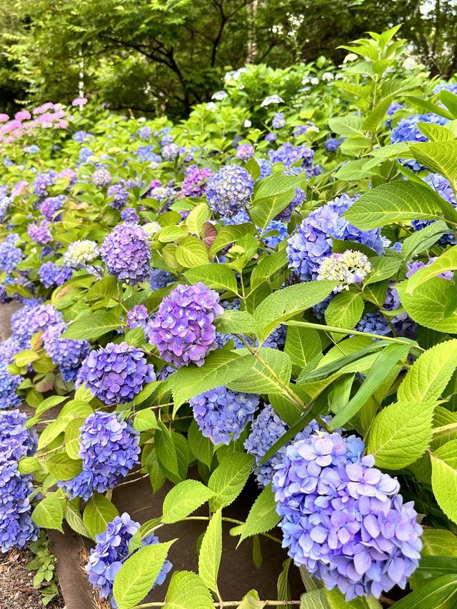 鶴舞公園