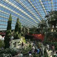 Flower Dome at Gardens by the bay