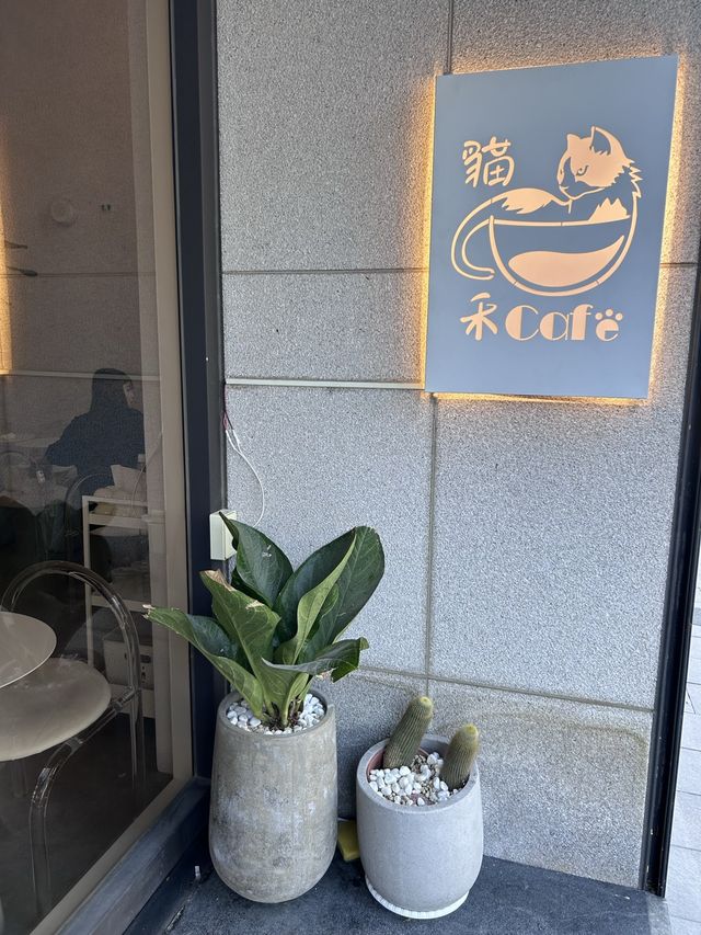 ［新竹/竹北］ 貓禾咖啡Maohecafe🐈🐈‍⬛｜這家貓貓超多啦!! 而且都超親人～ 