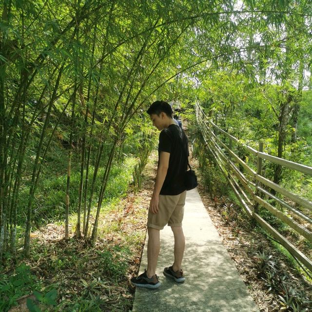 Fun Day in Borneo Happy Farm
