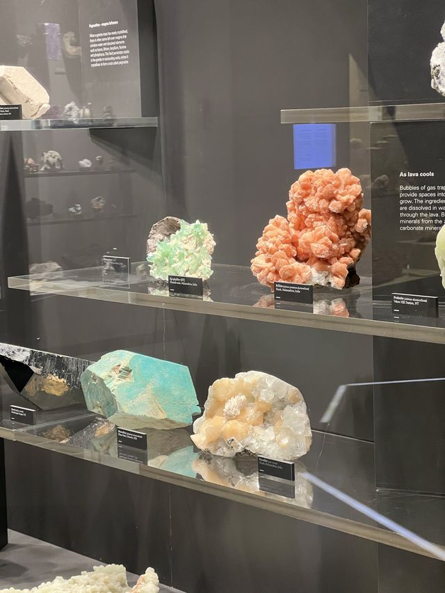 พาเที่ยว Melbourne Museum ออสเตรเลีย 🇦🇺