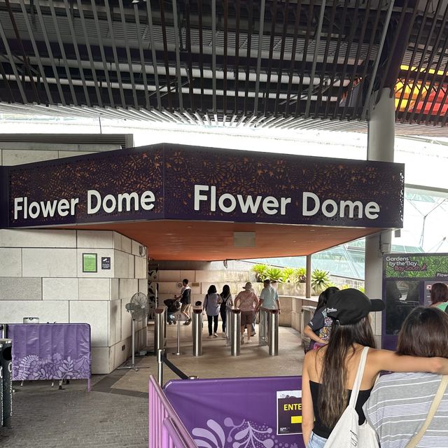 Flower Dome (GBTB) - Singapore