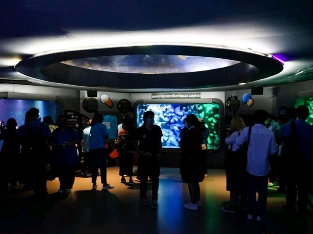 Bangsaen Aquarium 