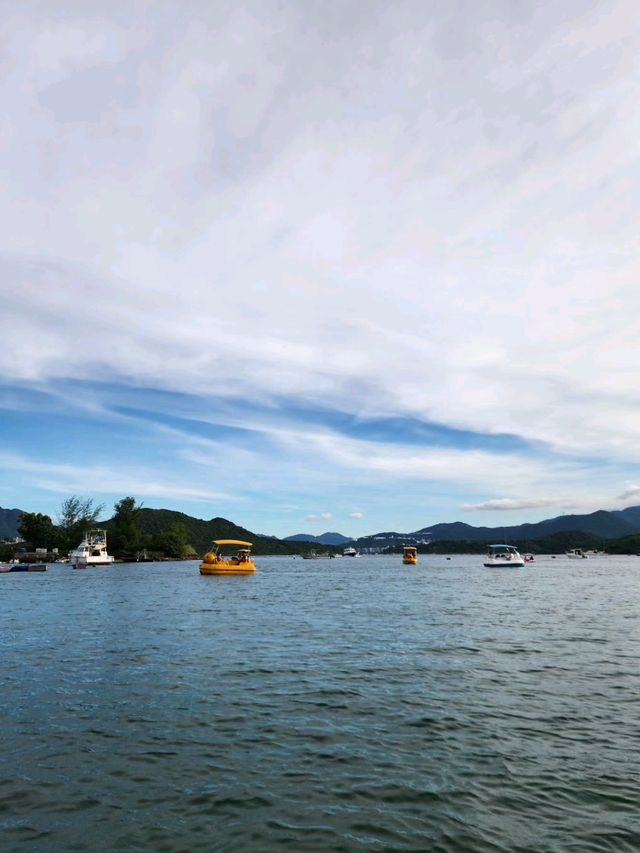 大埔| 輕鬆去camping🏕️600尺一區露營車體驗 🚐