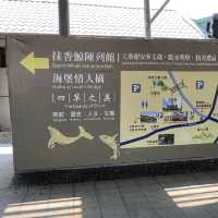 台南四草綠隧道