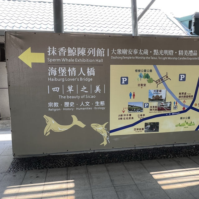 台南四草綠隧道