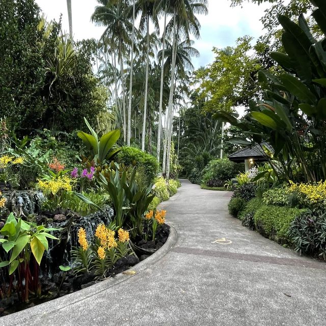 A treat to the senses@National Orchid Garden