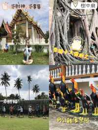 泰國🇹🇭十大靈廟之一👍🏻樹中廟‼️過二百年老樹❤️