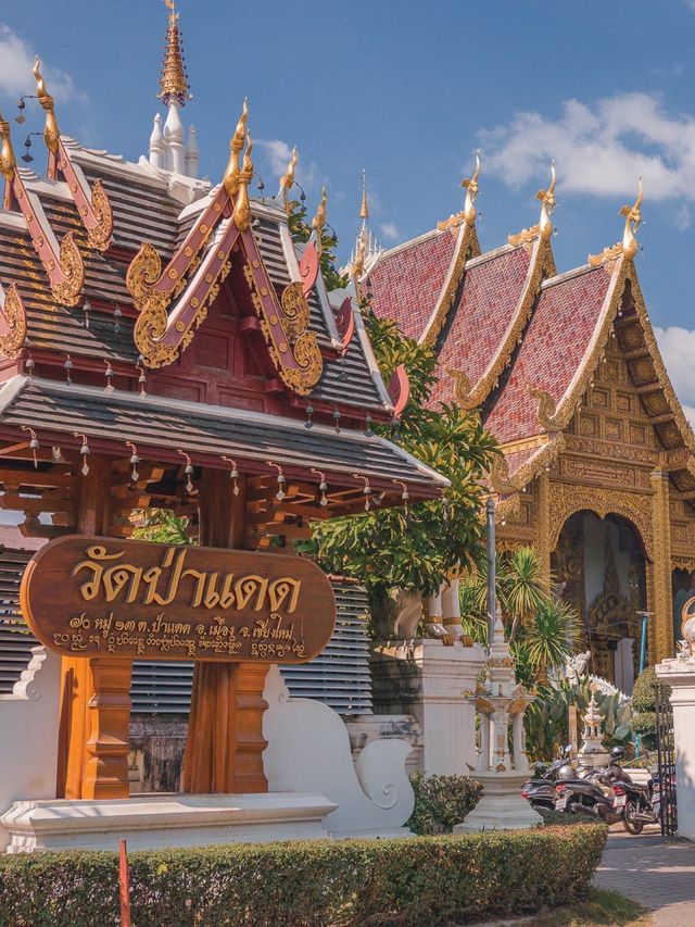 ไหว้พระพิฆเณศ 10 ขั้นตอน🙏🏻 ที่ วัดป่าแดด 