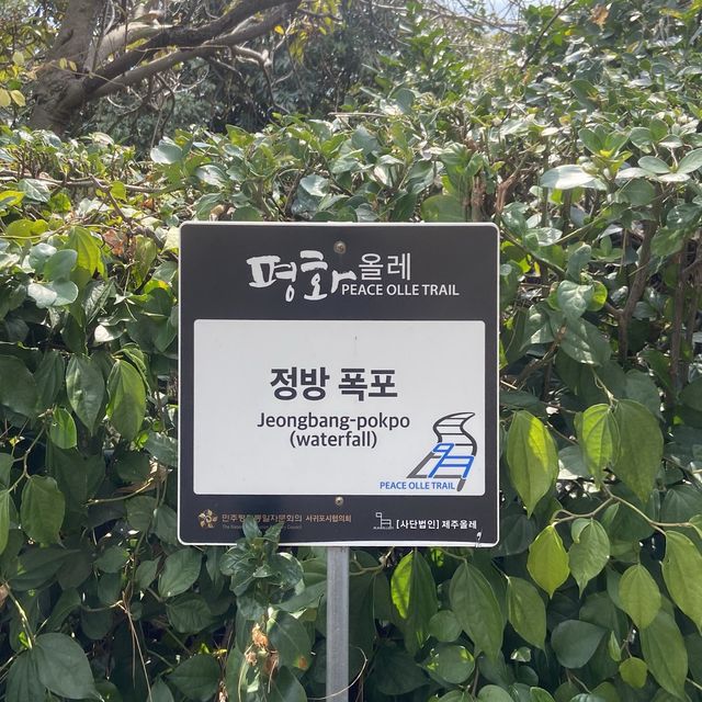 제주 서귀포 필수 관광코스, 정방폭포 💦