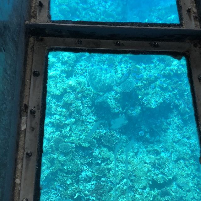 【沖縄】石垣島の絶景スポット「川平湾」