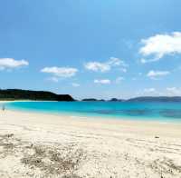 【沖縄 座間味島】世界が恋する海✳️古座間味ビーチ
