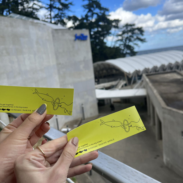 【兵庫】絶景すぎる水族館！城崎マリンワールド
