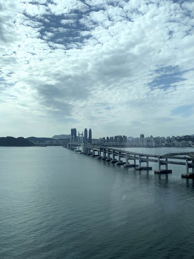 부산 럭셔리 호캉스 •파크하얏트•