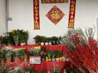 Chinese New Year in the Heartlands