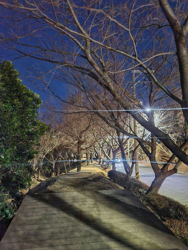 부산에서 야경 보기 좋은 곳🌃