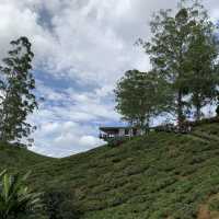 Wintry landscape in Malaysia