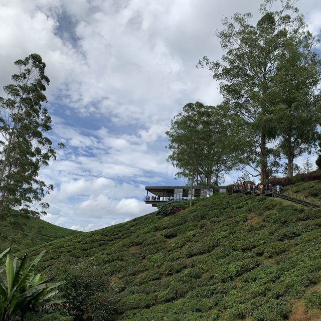 Wintry landscape in Malaysia