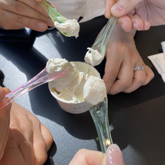 강릉 대표 디저트, “순두부 젤라또” 카페 3호점 🍨