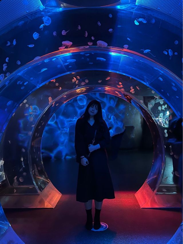 주말데이트로 아쿠아플라넷 일산에서 동심의 세계로 돌아가기🐠❤️