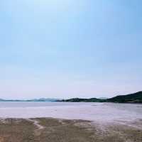 인스타 감성 말고, 자연 감성은 어때요🌊 바람,꽃 언덕