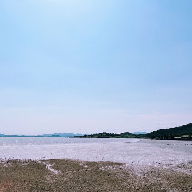 인스타 감성 말고, 자연 감성은 어때요🌊 바람,꽃 언덕