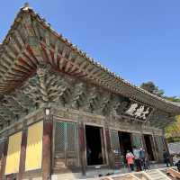 慶州景點-UNESCO世界文化遺產-佛國寺