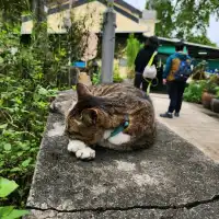 西貢鹽田梓文化與自然結合