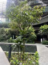 ตึก Marina One จุดเช็คอินใหม่ของสิงคโปร์ 🏢