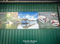 นั่งเรือชมป่าโกงกาง ไถหนาน