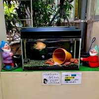 熱川バナナワニ園の動物たち