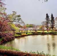 平和公園