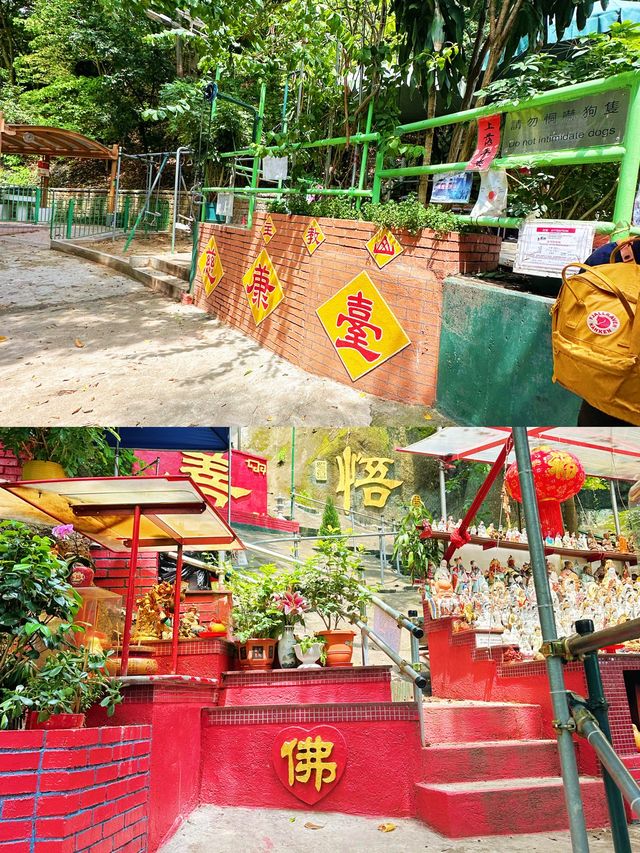 ⭐️1904年主教山仿羅馬設計配水庫🤩