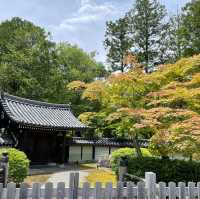 【京都】緑あふれる苔寺「西芳寺」