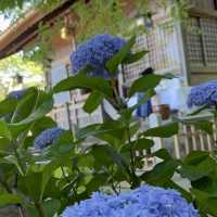 花手水が美しい