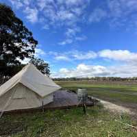 Balgownie Estate Bendigo的Glamping 在葡萄園中享受豪華露營體驗