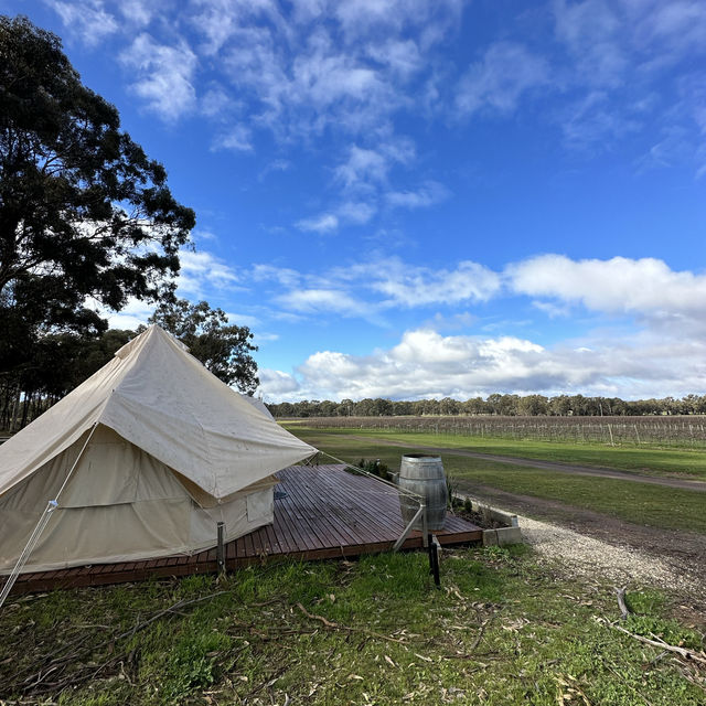 Balgownie Estate Bendigo的Glamping 在葡萄園中享受豪華露營體驗