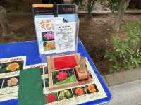 東京・北区。バラの季節には多くの品種の花が咲き誇るそうです『旧古河庭園』